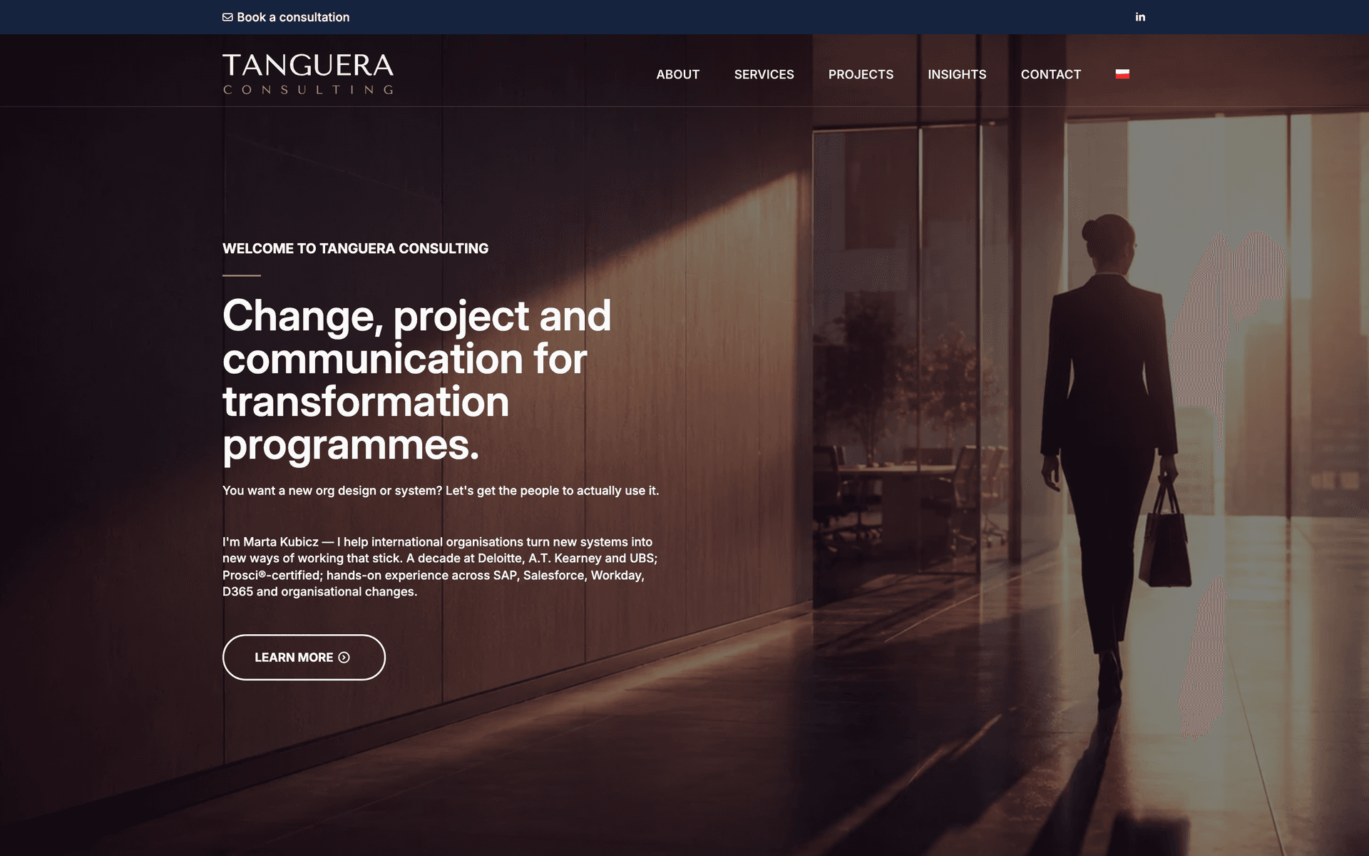 Tanguera Consulting homepage
